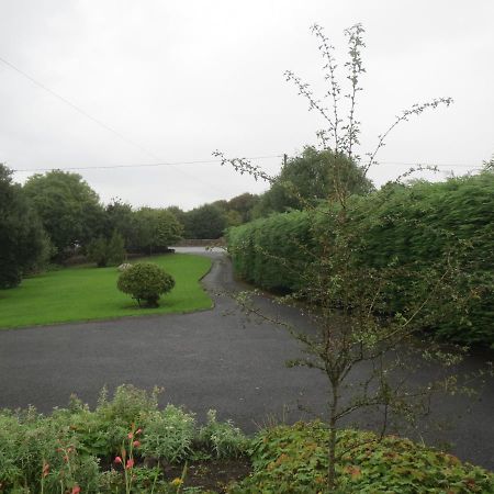 Abbey View Bed & Breakfast Galway Exteriör bild