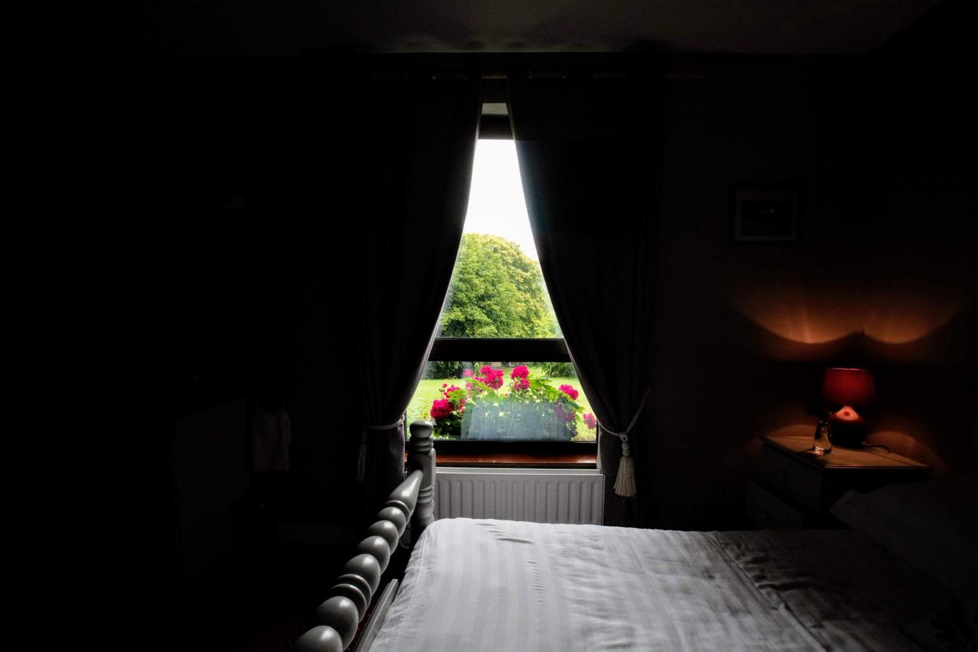 Abbey View Bed & Breakfast Galway Exteriör bild