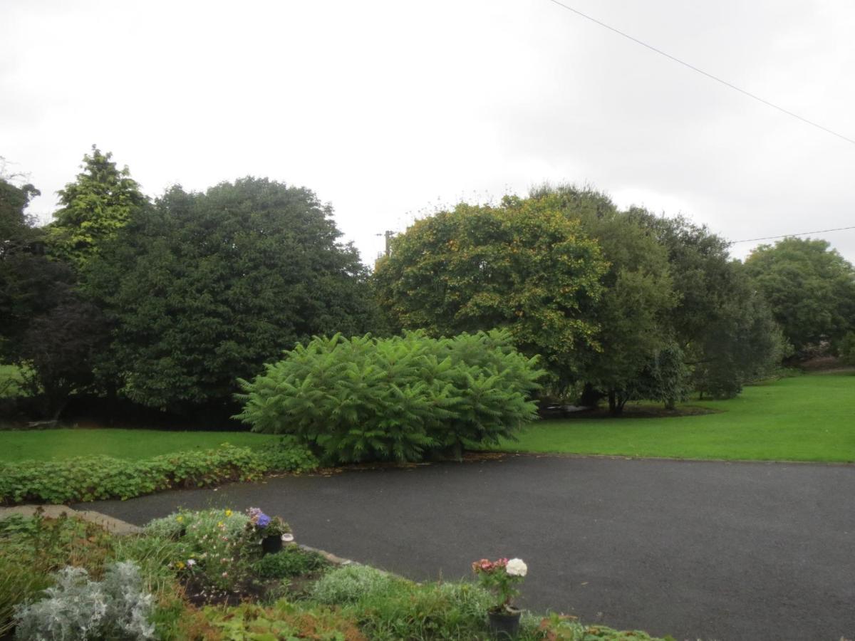 Abbey View Bed & Breakfast Galway Exteriör bild